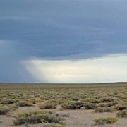 Fallon National Wildlife Refuge