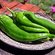 New Mexico Green Chile