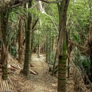 Stillwater Beach Walk - Very Easy (3 Hours 20 Minuets)