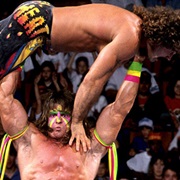 Ultimate Warrior vs. Rick Rude,Summerslam 1989