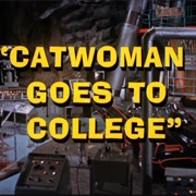 Catwoman Goes to College