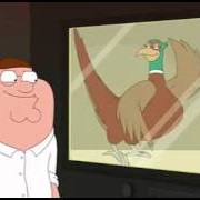 Pheasant on the Glass