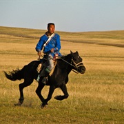 Mongolian Horse Trek