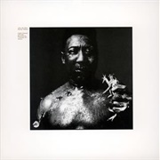 Muddy Waters - After the Rain