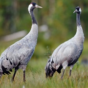 Norfolk Broads National Park, England