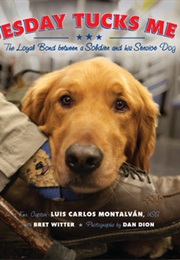 Tuesday Tucks Me in (Luis Carlos Montalván)