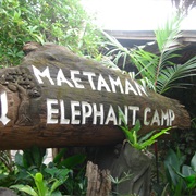 Maetaman Elephant Camp in Chian