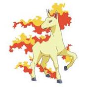 Rapidash