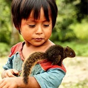 Watch a Baby Animal Grow Up