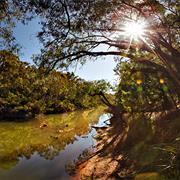 Blackwood River National Park (WA)