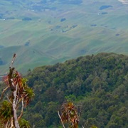 Waikato River Track (Rangiriri to Huntly)