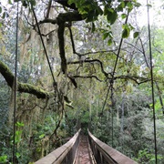 Ravine Gardens State Park, Florida