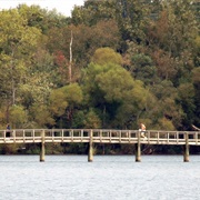Long Hunter State Park, Tennessee