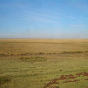 Kazakh Steppe