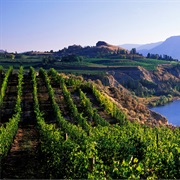 Visit the Okanagan Wineries & Orchards, BC