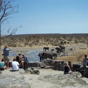 Halali Rest Camp, Namibia