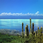 Lago Enriquillo, Dominican Republic
