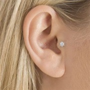 Tragus