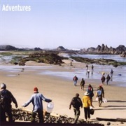 Forage for Food With Wild Food Adventures