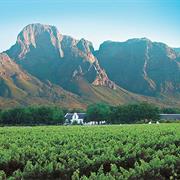 Winelands of the Cape