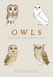 Owls: Our Most Charming Bird (Matt Sewell)