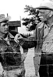 Melvyn Douglas - Hud