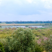 Kiskunság National Park