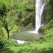 Viento Fresco Costa Rica