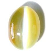 Cat's Eye