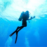 Diver