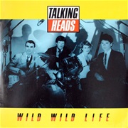 Wild Wild Life - Talking Heads