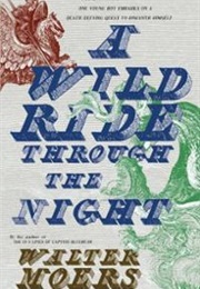 A Wild Ride Through the Night (Walter Moers)