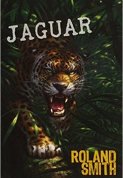 Jaguar (Novel)