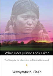 What Does Justice Look Like?: The Struggle for Liberation in Dakota Homeland (Waziyatawin)