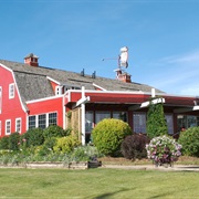 Saskatoon Berry Barn