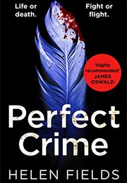 Perfect Crime (Helen Fields)