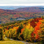 Fall Foliage in the Laurentians