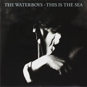 The Waterboys - This Is the Sea
