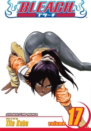 Bleach Volume 17 (Tite Kubo)