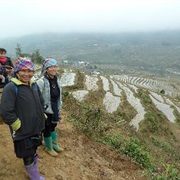Trekking Through the Rice Terraces of Sapa, Vietnam