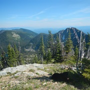 Stillwater State Forest, Montana