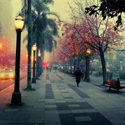 Caxias Do Sul, Rio Grande Do Sul, Brasil