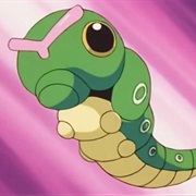 Caterpie