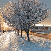 Skellefteå Municipality