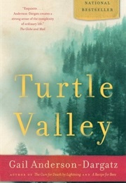 Turtle Valley (Gail Anderson-Dargatz)