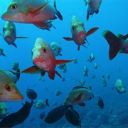 Tiputa Pass, Rangiroa, Polynesia