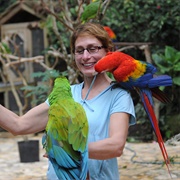 Macaw Mountain Bird Park, Honduras
