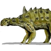 Euoplocephalus
