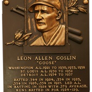 Goose Goslin