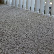 Applied a Post-Treatment Solution to a Carpet